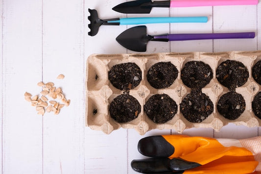 Sadzarka do cebulek, rozsady i nasion – czym się różnią?