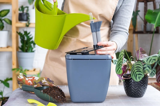 Czy warto inwestować w sadzarkę ręczną na małą działkę?