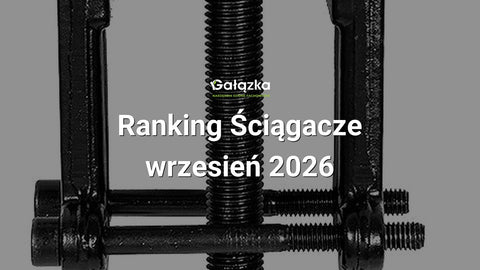 Ranking Ściągacze - wrzesień 2026 w Gałązka24.pl. Zdjęcie produktu: Ściągacz do łożysk dwuramienny skręcany 3" (38x65mm) | C4067