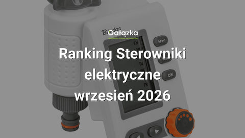 Ranking Sterowniki elektryczne - wrzesień 2026 w Gałązka24.pl. Zdjęcie produktu: WHITE LINE Sterownik elektroniczny | WL-3132