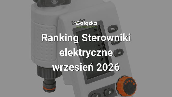 Ranking Sterowniki elektryczne - wrzesień 2026 w Gałązka24.pl. Zdjęcie produktu: WHITE LINE Sterownik elektroniczny | WL-3132