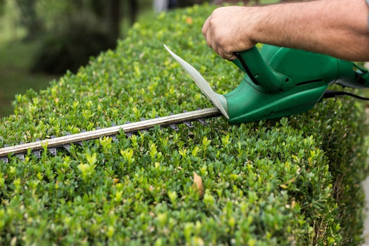 Elektryczne vs. akumulatorowe nożyce do żywopłotu – które wybrać?