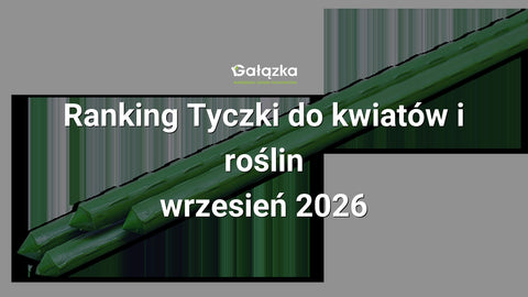 Ranking Tyczki do kwiatów i roślin - wrzesień 2026 w Gałązka24.pl. Zdjęcie produktu: Stalowa tyczka ogrodowa 2,0cm x 180cm | TYP20180