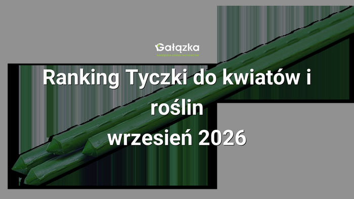 Ranking Tyczki do kwiatów i roślin - wrzesień 2026 w Gałązka24.pl. Zdjęcie produktu: Stalowa tyczka ogrodowa 2,0cm x 180cm | TYP20180