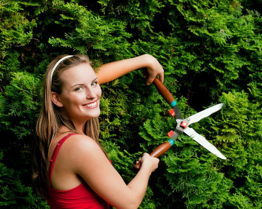 Porównanie nożyc jednostronnych i dwustronnych – które lepsze do żywopłotu?