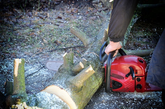 Pilarka spalinowa czy elektryczna – co lepiej sprawdzi się w ogrodzie?