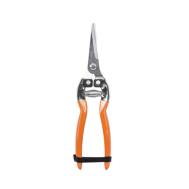 Sekator prosty V-SERIES-P ostrze mijające, stal SS | KT-V1020 - Centrum Techniczne Gałązka