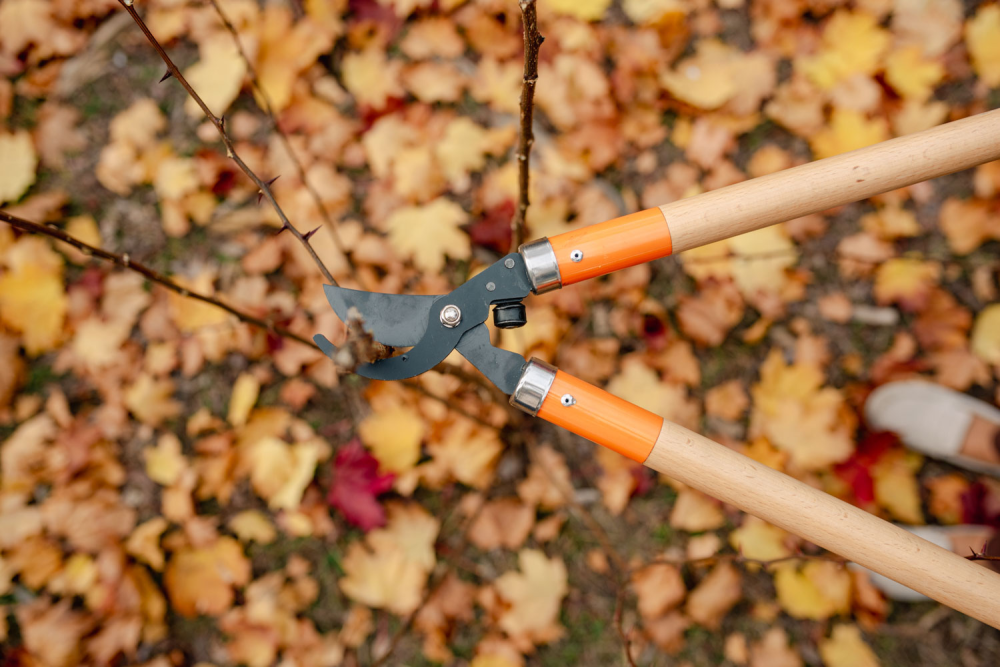 Sekator do gałęzi V-SERIES WOOD, wytrzymały i precyzyjny w cięciu drzew i krzewów | KT-V1215