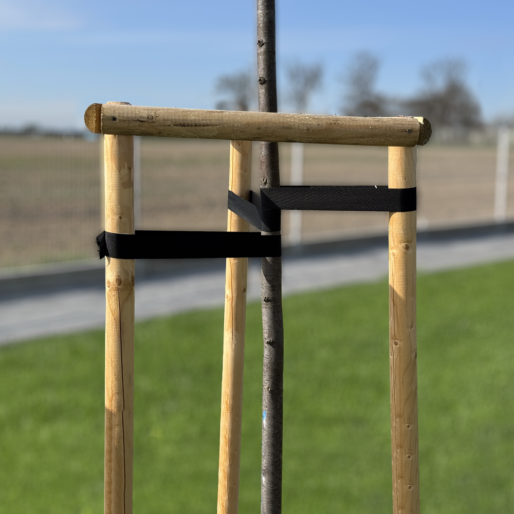 Taśma TREE SUPPORT 25 mm × 25 m do stabilizacji młodych drzew i ochrony pni w ogrodzie | TYTS2525/BK