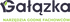 vendor-icon