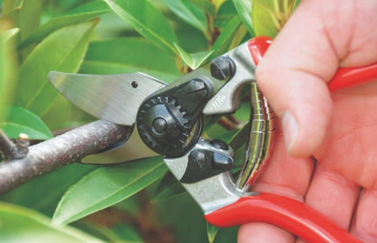 Zestaw ogrodowy: sekator Felco 6 i nóż Felco 500 do pielęgnacji | P042