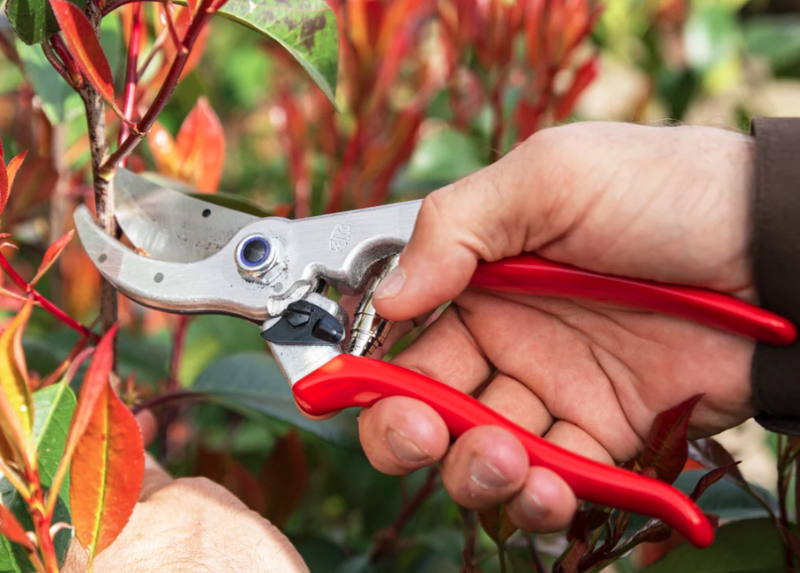 Zestaw promocyjny: sekator do gałęzi FELCO 4 + Ostrzałka do sekatorów Felco 906| P153